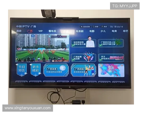 333体育集团娱乐平台的未来发展趋势与创新技术应用，助力用户把握行业新机遇