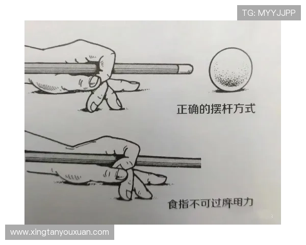 利发体育新手入门攻略帮助新手快速掌握游戏规则与操作技巧
